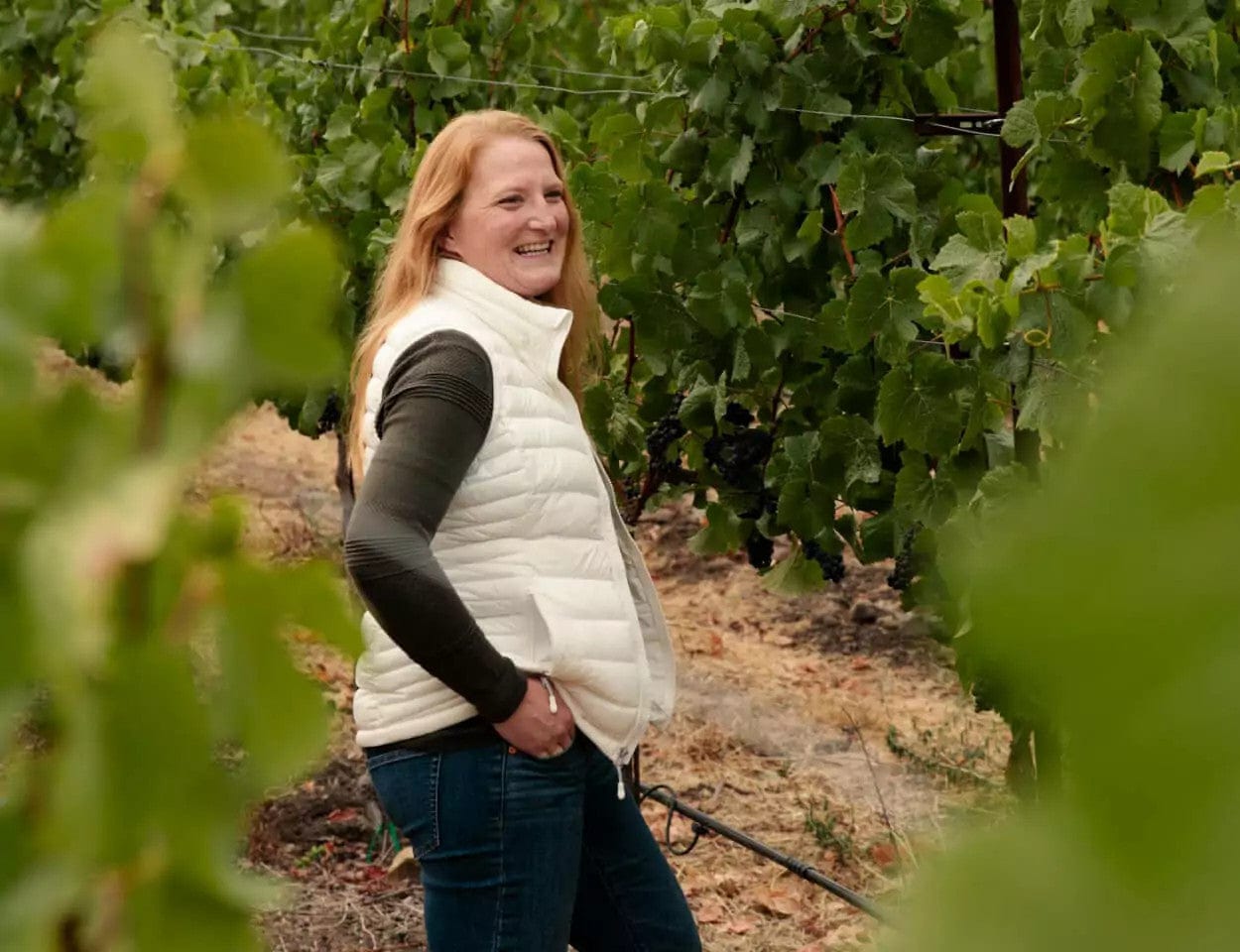 Event Tickets (5/24/23) $40 Meet the Winemaker - MacRostie Wine Tasting and Class-Cary