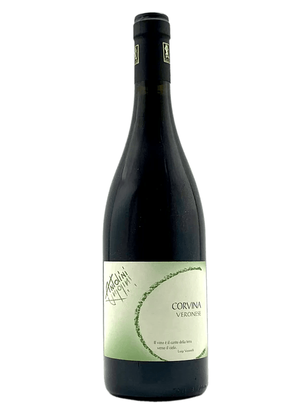 Wine Antolini Corvina Veronese IGT
