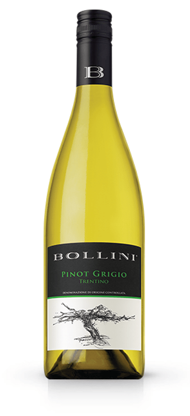 Wine Bollini Pinot Grigio Trentino