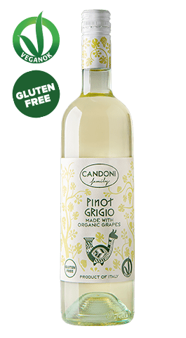 Wine Candoni Organic Pinot Grigio Veneto IGT