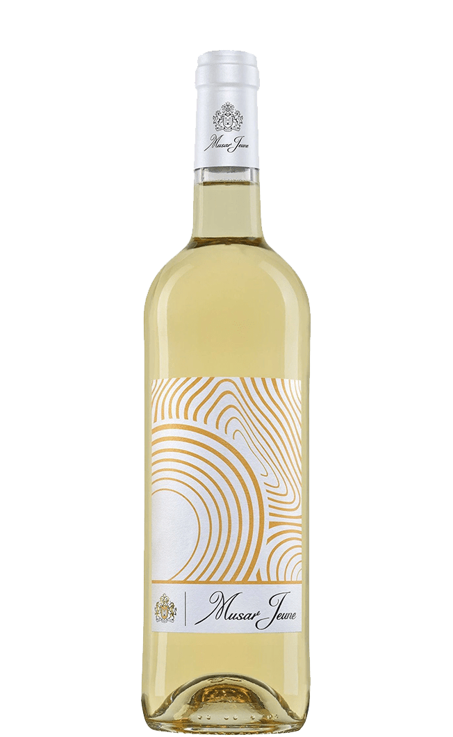 Wine Chateau Musar Jeune White Blend Bekaa Valley