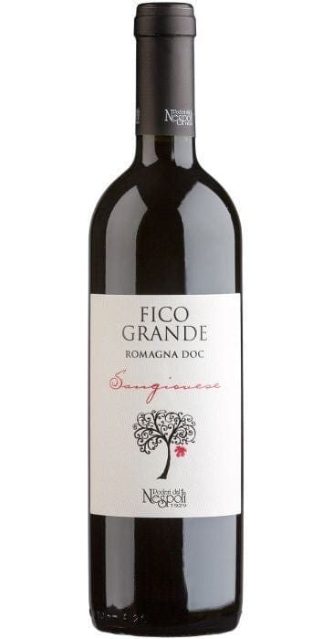Wine Poderi dal Nespoli Fico Grande Sangiovese di Romagna Superiore DOC