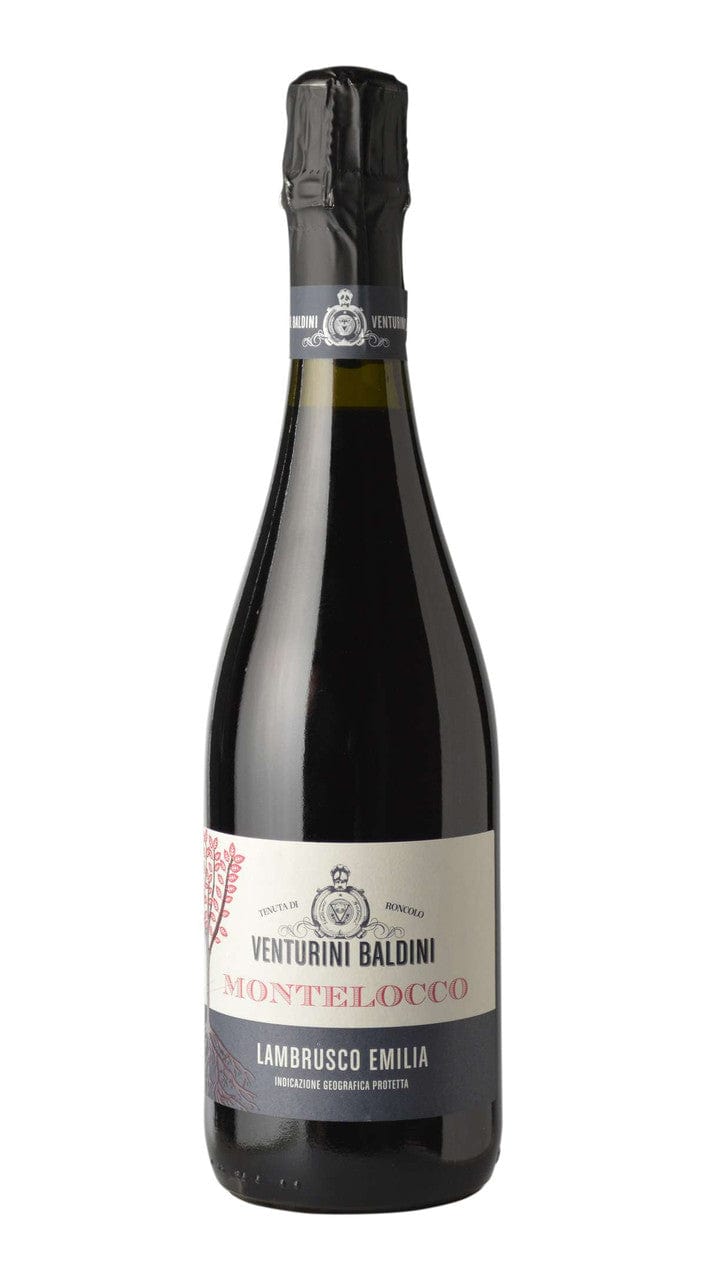 Wine Venturini Baldini Montelocco Lambrusco Frizzante Emilia IGP