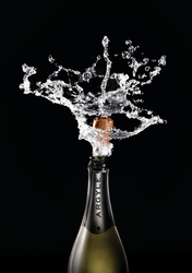 Event Tickets (12/17/23) $30 Discover the Magic Behind Argyle's Sparkling Wine-SoPi