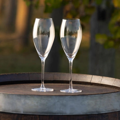 Big Wine Glasses Demi Set of 2 – Triangle Wine Company