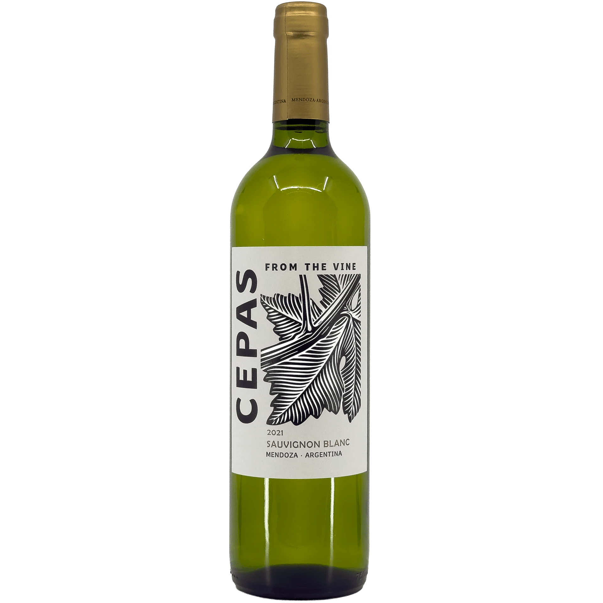 Wine Cepas Chardonnay Mendoza Copy