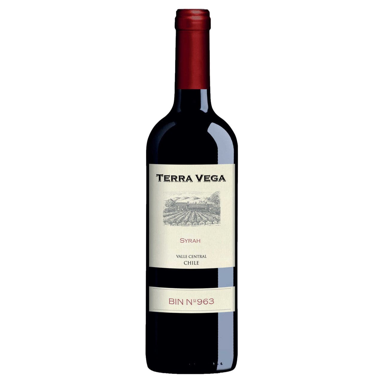 Wine Terra Vega Syrah